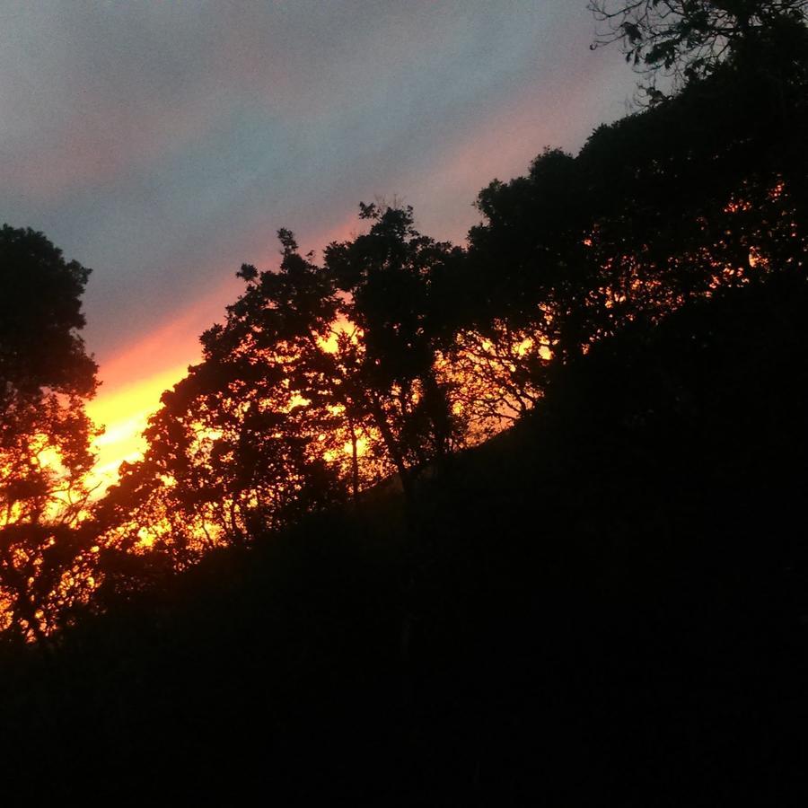 Nas Nuvens Hospedaria Monte Verde  Bagian luar foto